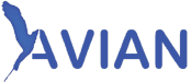 Avian