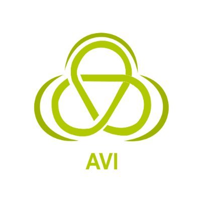 Avi Lifestyles