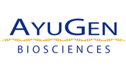 Ayugen