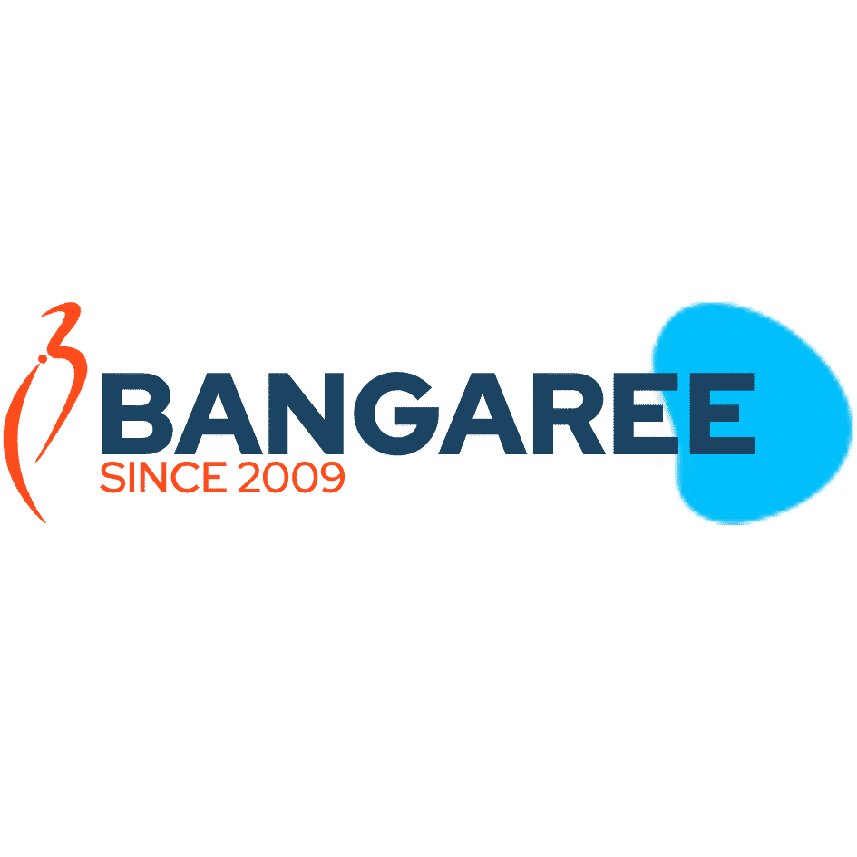 Bangaree Infotech Solutions