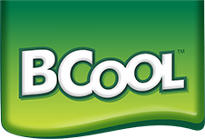 Bcool