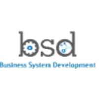 Business System Development
