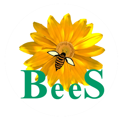 Bees Software Solutions