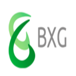 Beexergy