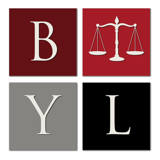 Being Your Lawyer