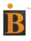 Bhavin Industries