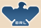 Bhoruka Roadlines