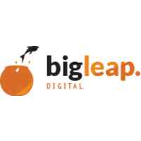Big Leap Digital