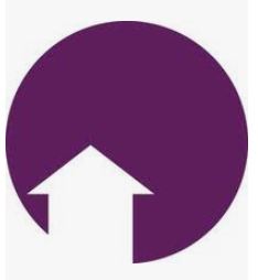 Big Purple Dot