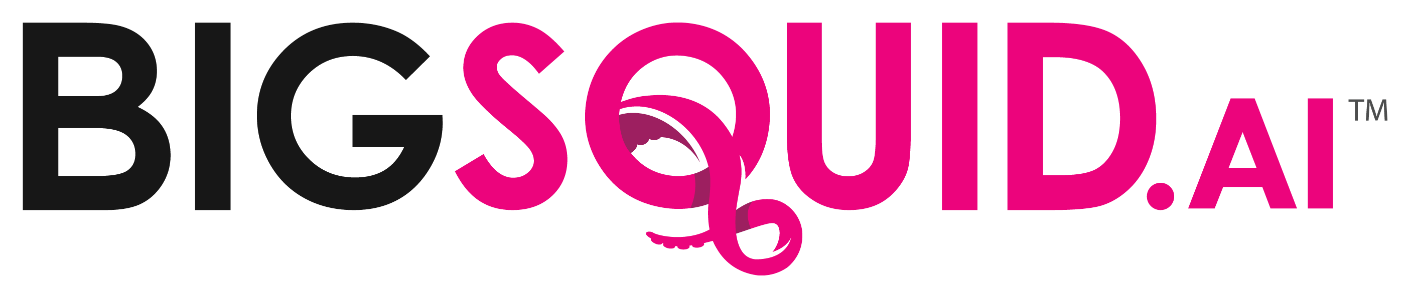 Big Squid