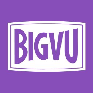 Bigvu
