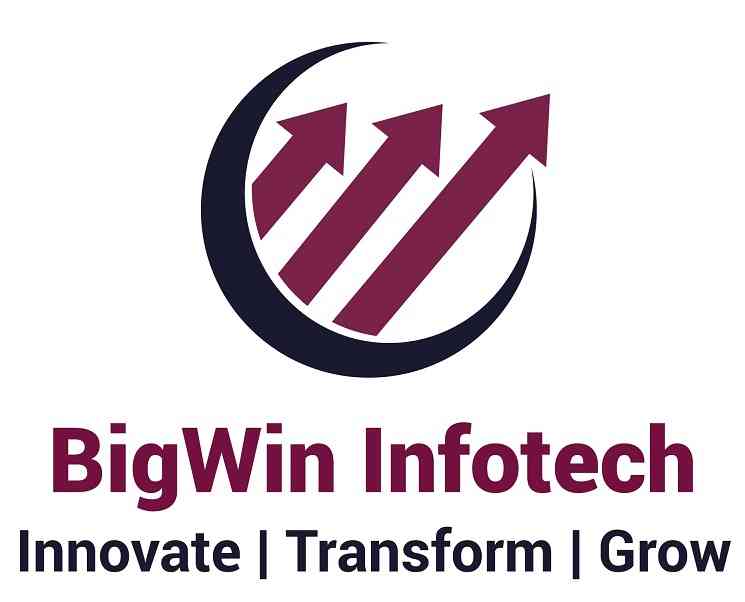 Bigwin Infotech Private Limited