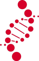 Bioc-chem Solutions
