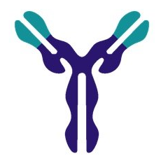 Biotem Custom Antibodies & Services
