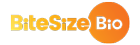 Bitesize Bio