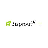 Bizprout Expert Systems
