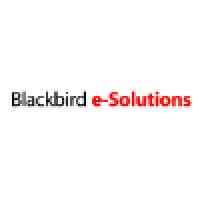 Blackbird E-solutions Llc