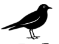 Blackbird Foods