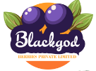 Bg Berries