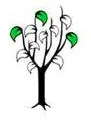Blacktree Capital