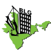 Blg Construction Services