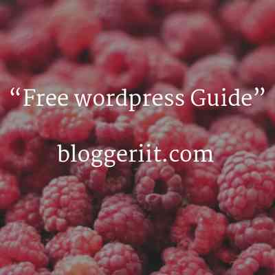 Bloggeriit
