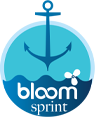 Bloom Sprint Ship Management