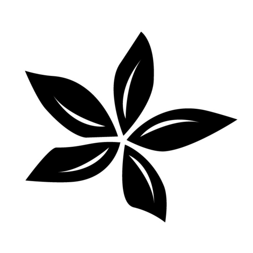 Blossom Coffee