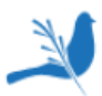 Bluebird Homecare