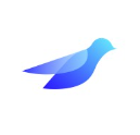 Bluebirds