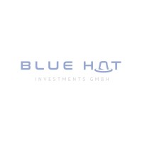 Blue Hat Investments