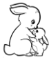 Blush Bunny Organics