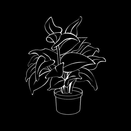 Botanycal