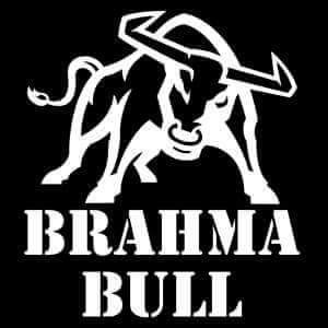 Bramha Bull