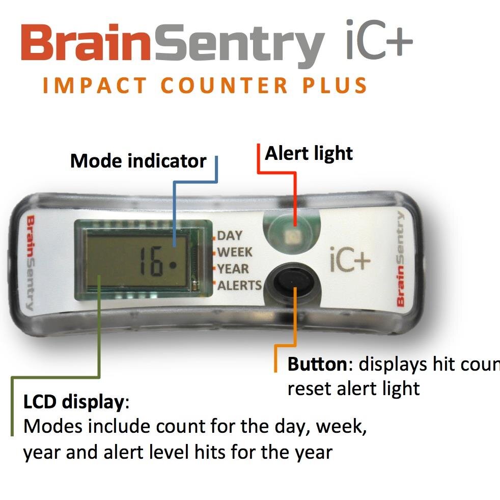 Brain Sentry