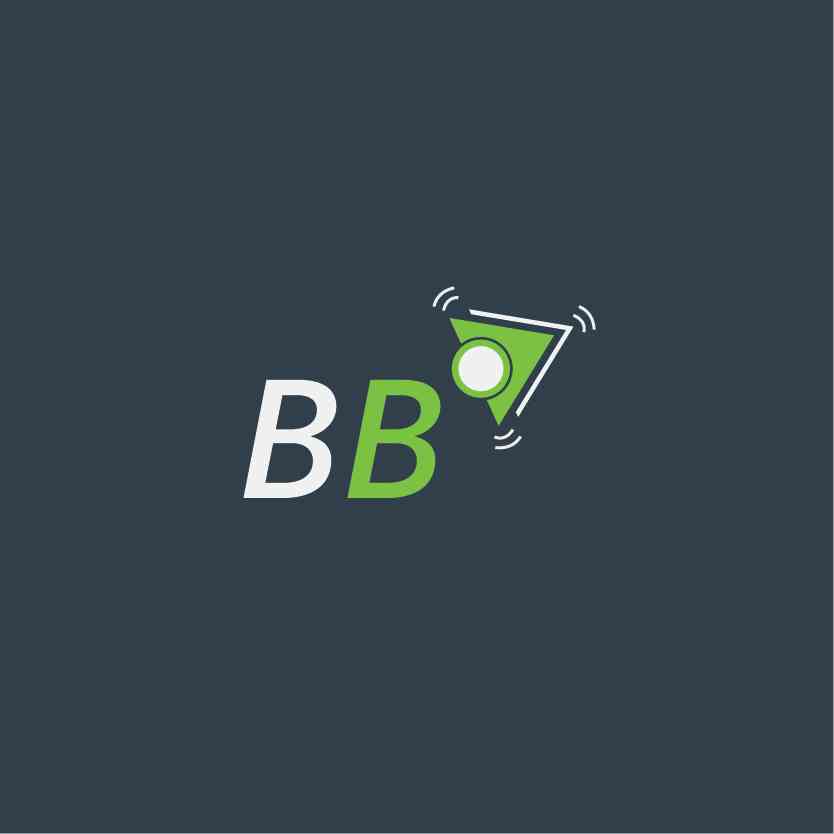 Brand Buzzar Digital Marketing