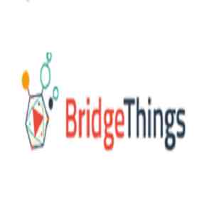 Bridgethings