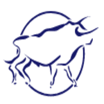 Brindisa