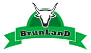 Brunland