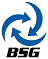 Bsg Technology