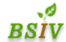 Bsiv Nursery And Farms