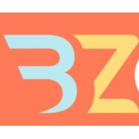 Bz Consultant
