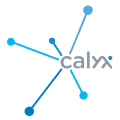 Calyx