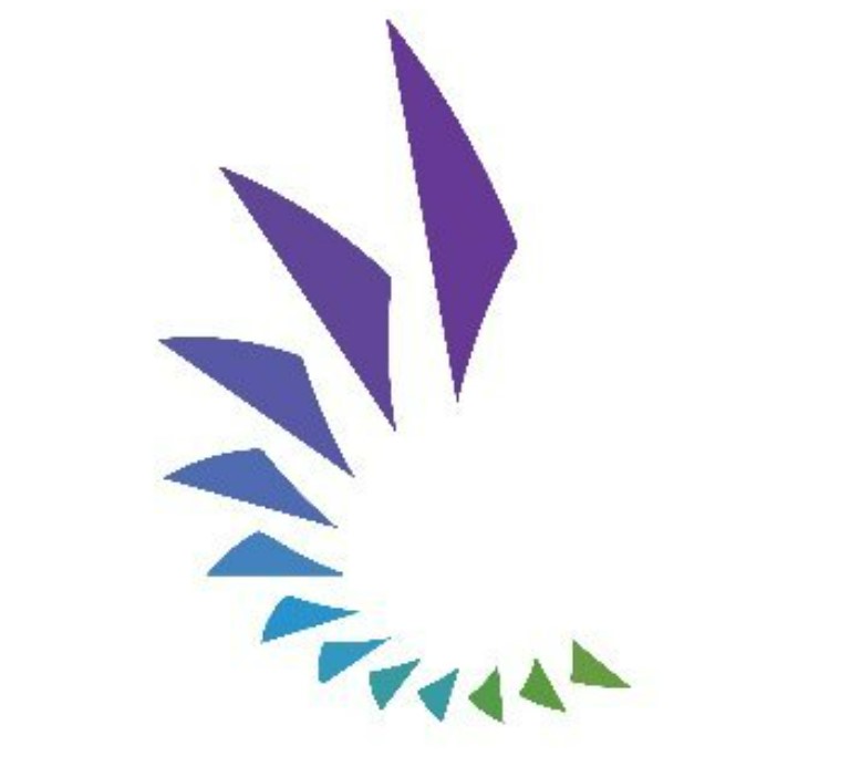 Capital Innovators