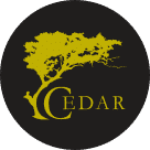 Cedar Employee Benefits