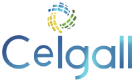 Ceigall