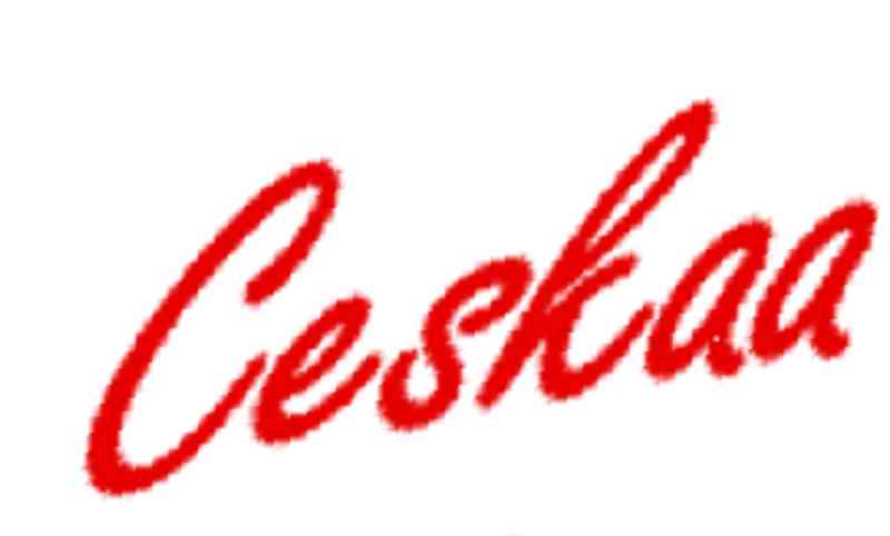 Ceskaa Market Research