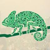 Chameleon Cold Brew