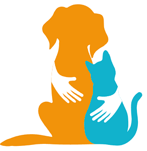 Charved Aashray Foundation