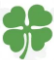 Clover Infotech